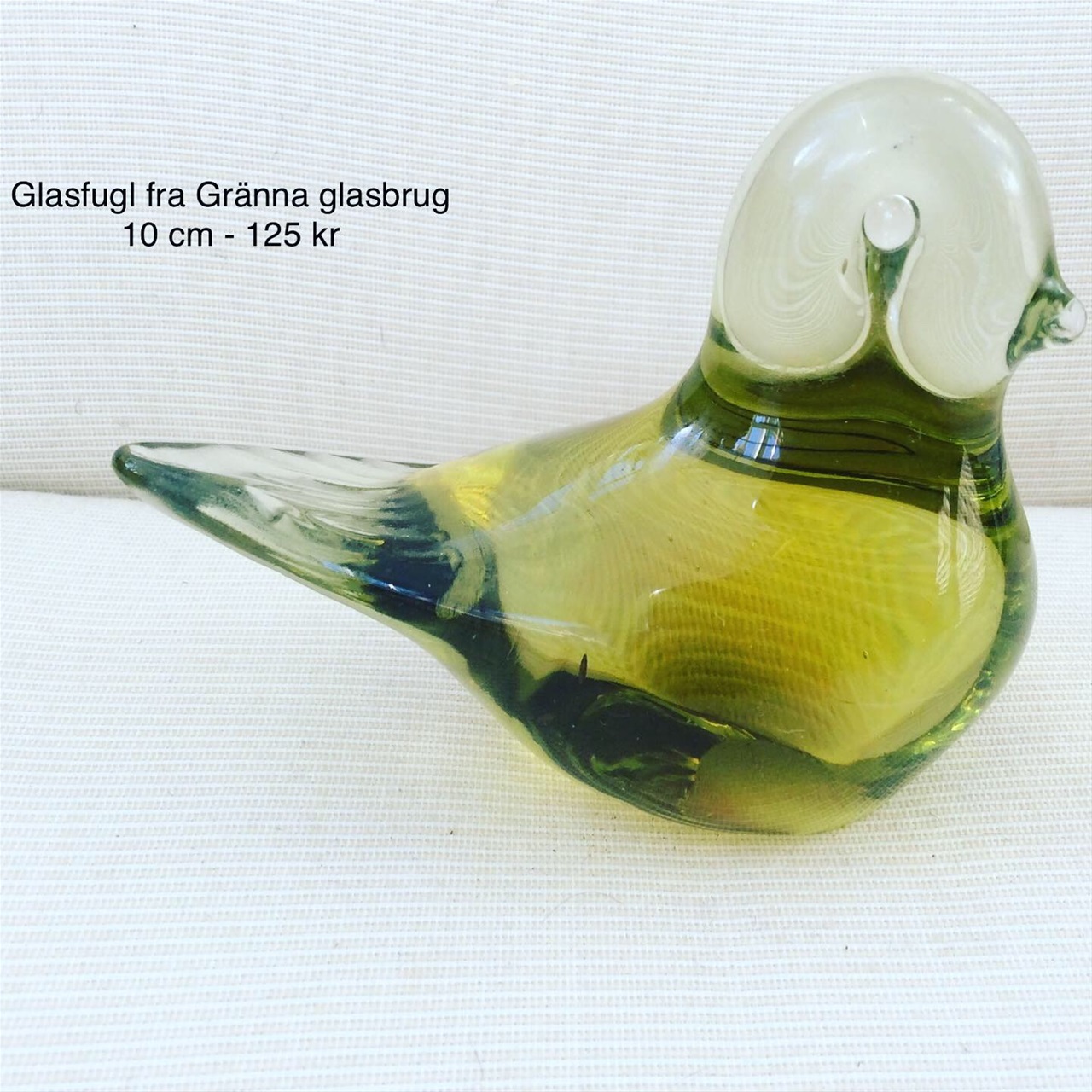 gränna glasfugl